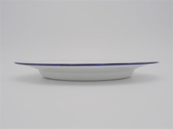 assiette gamelle tole emaillee blanche lisere bleu chine