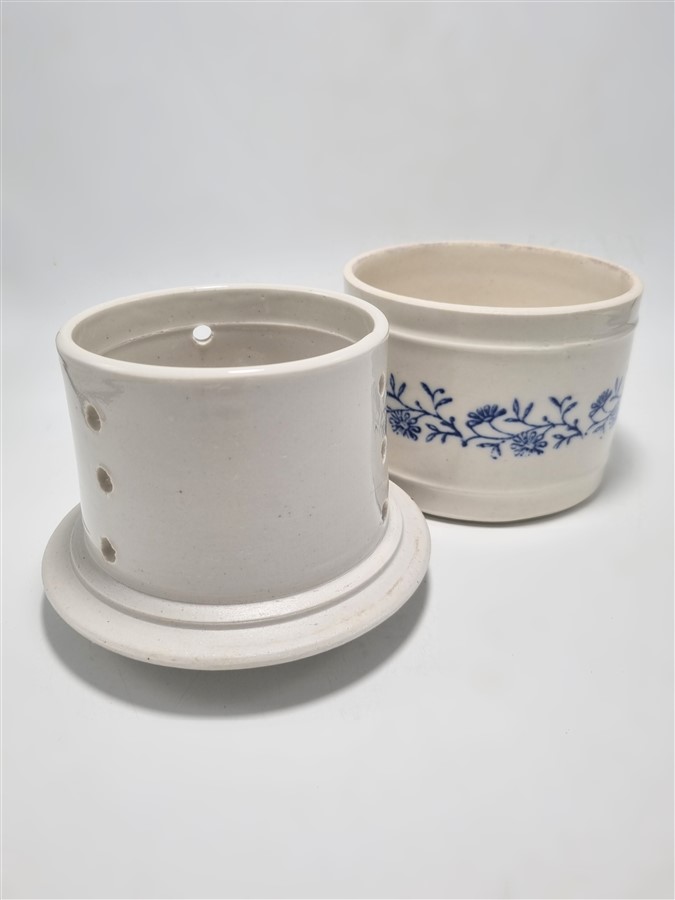 Grand beurrier à eau