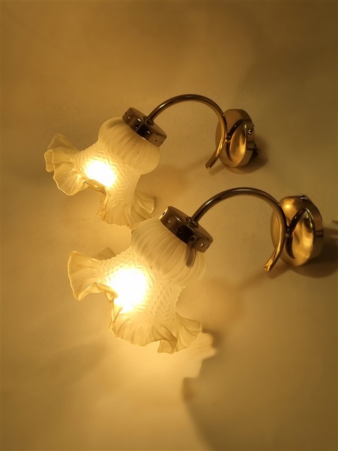 Paire d'appliques murales vintage