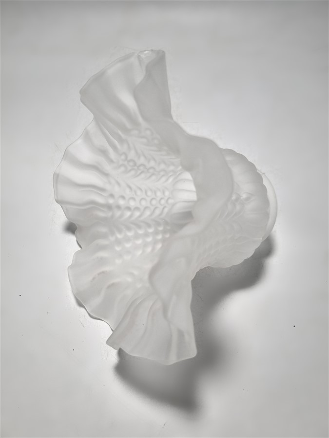 tulipe en verre