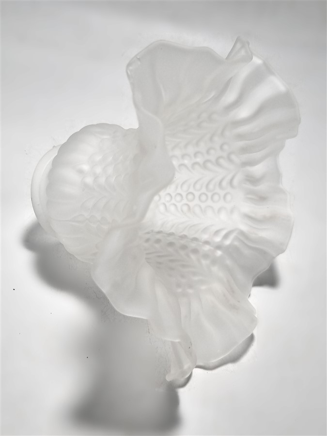tulipe en verre