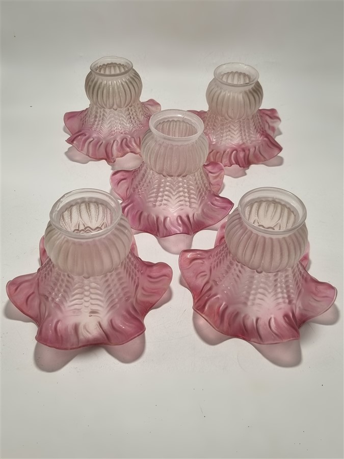 tulipe en verre a la bordure rose